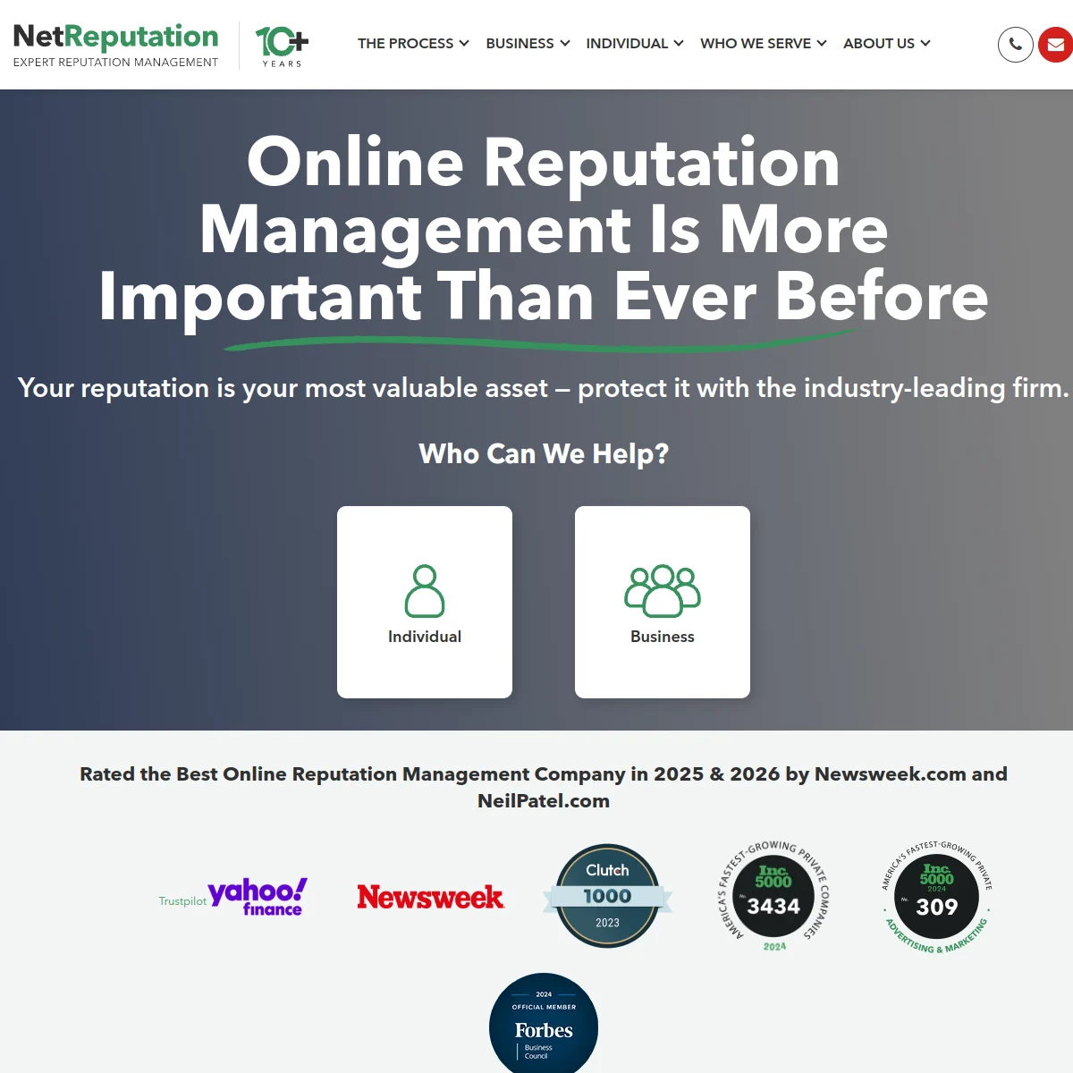 NetReputation homepage showing online reputation management services
